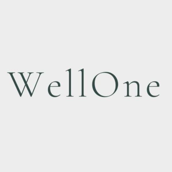 WellOne Consulting & Services Srl