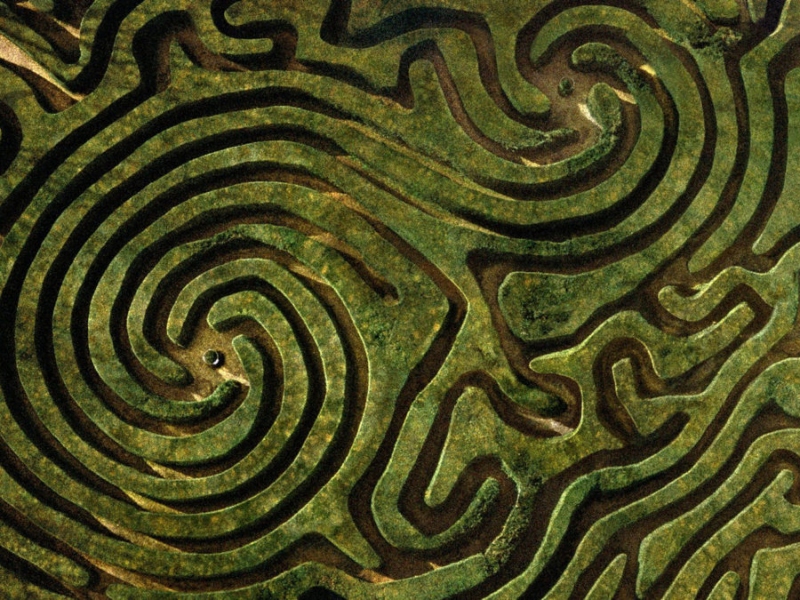 ADHOCLIFE: libert&agrave; di scegliere