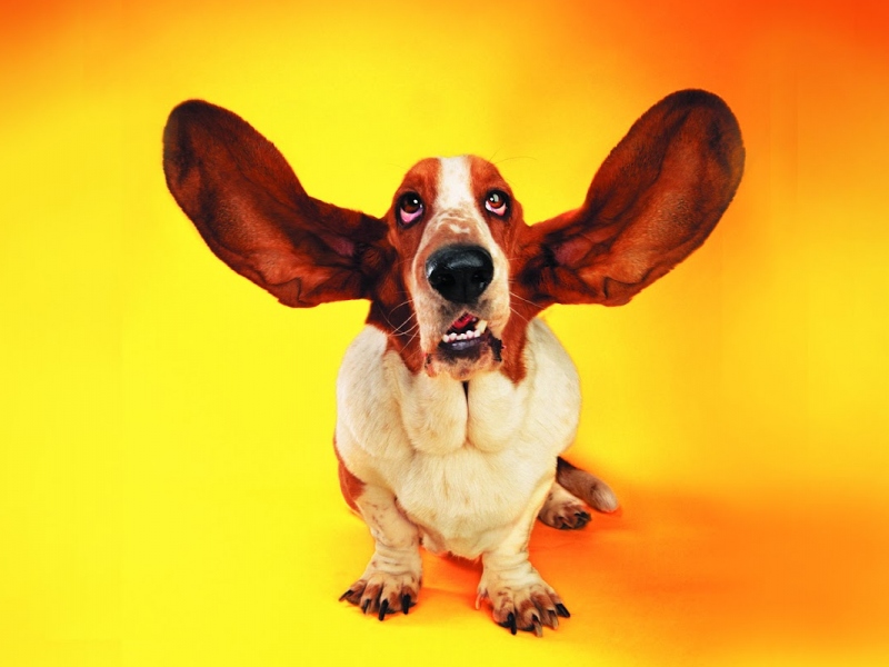 I segreti della comunicazione