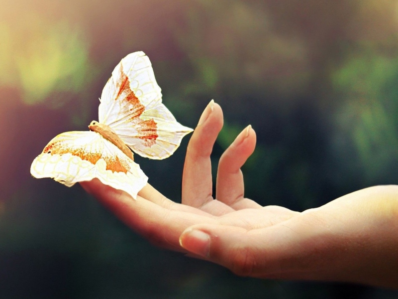 Newbio: benessere, positivit