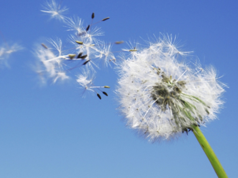 Cattive abitudini? cambiare conviene!