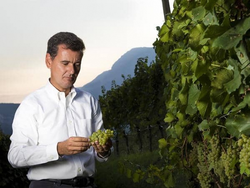 Cantine Ferrari: l'arte di vivere italiana