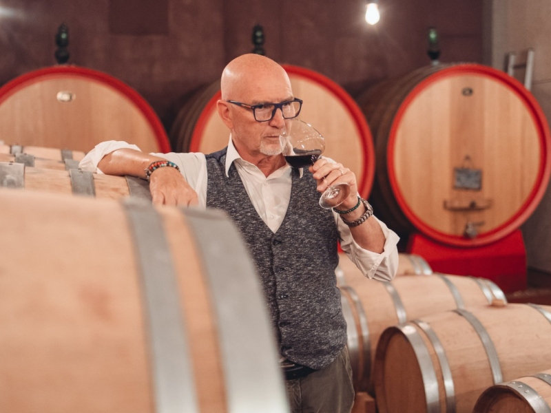 Un sognatore tra le vigne